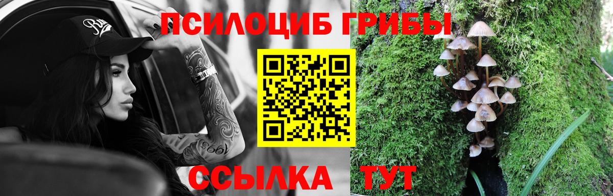 Чистополь  Галлюциногенные грибы Cubensis  Вход с VPN 